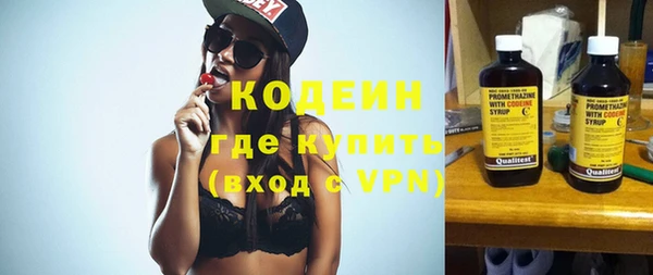 индика Аркадак