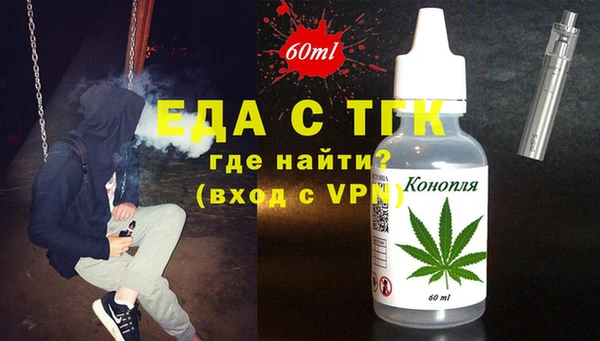 индика Аркадак