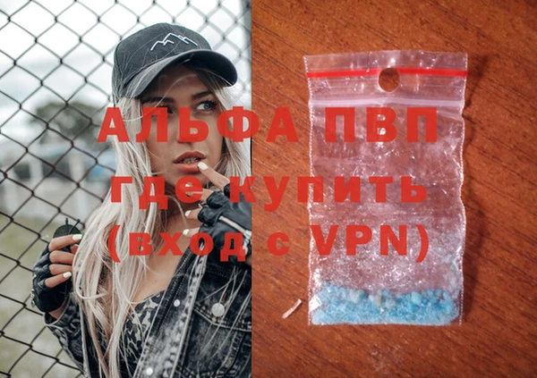 индика Аркадак