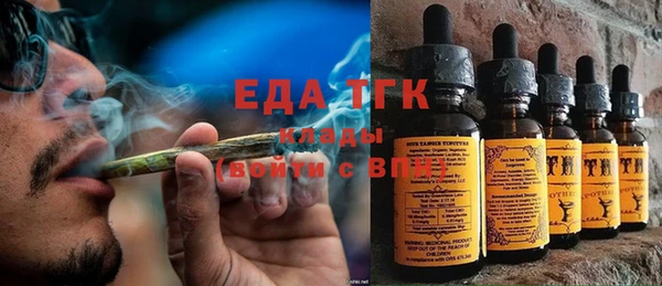 индика Аркадак
