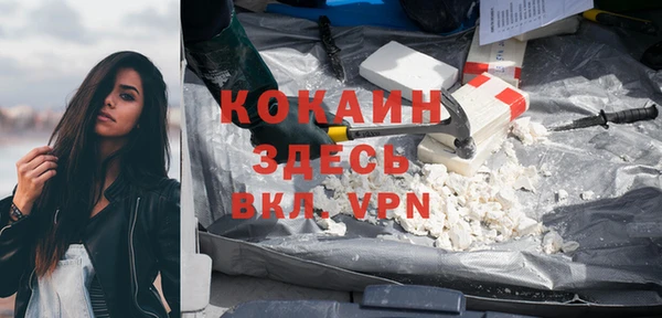 индика Аркадак