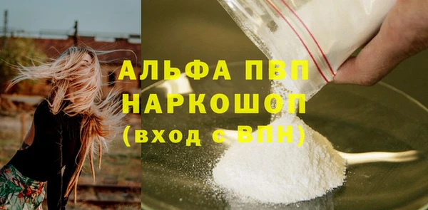 индика Аркадак