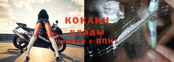 индика Аркадак