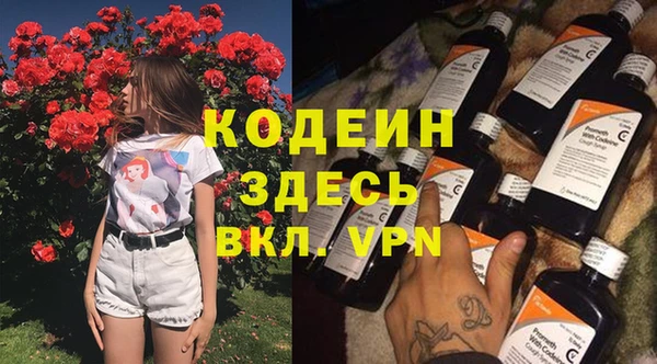 индика Аркадак