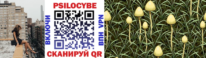 Псилоцибиновые грибы Psilocybe  Пущино 